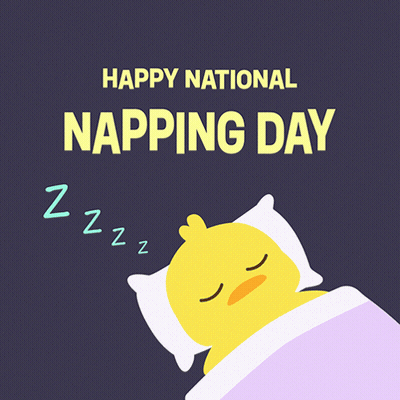 Happy National Napping Day Sleeping Duck GIF