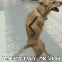 Happy New Year 2019 Funny Dog Walking Animation