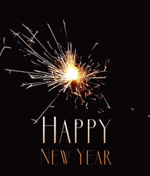 Happy New Year 2021 Celebrate Sparkle Fireworks GIF