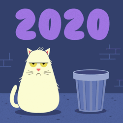 Happy New Year 2021 Funny Animated Cat Trash GIF