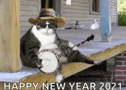 Happy New Year 2021 Funny Cat Playing Instrument