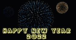 Happy New Year 2022 Fireworks Display