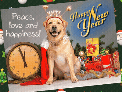 Happy New Year Dog Greeting Card GIF