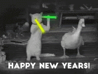Happy New Year Funny Cat And Duck Dancing