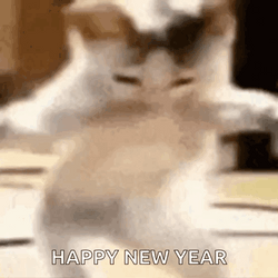 Happy New Year Graceful Dancing Cat Meme GIF