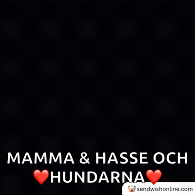 Happy New Year Mamma & Hasse Och Hundarna