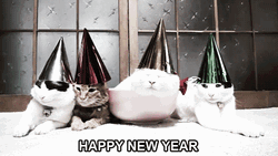 Happy New Year Colorful Greeting GIF | GIFDB.com