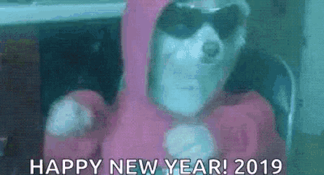 Happy New Year2019 Dog GIF