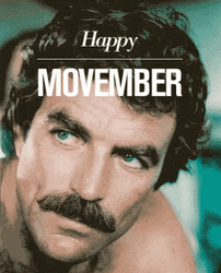 Happy November Mustached Actor Tom Selleck GIF