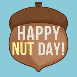 Happy Nut Day GIF