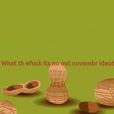 Happy Nut Day What The Fuck Its No Nut November Idiot GIF