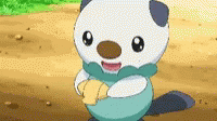 Happy Oshawott  GIF