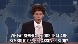 Happy Passover SNL Vanessa Bayer Jacob  GIF