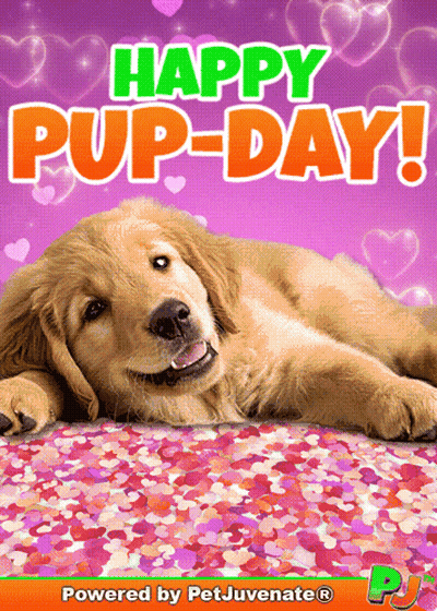 Happy Pup Day Poster With Puppy Laying On Confetti GIF