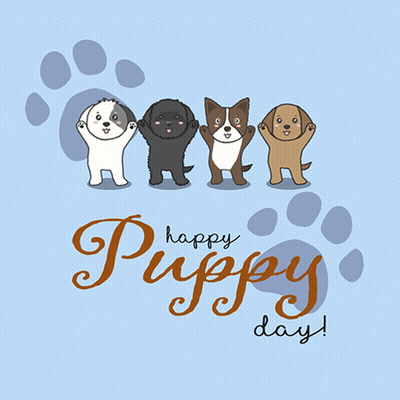 Happy Puppy Day Greeting Card GIF