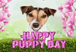 Happy Puppy Dog Day GIF