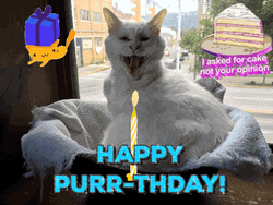 Happy Purr Birthday Cat Surprise