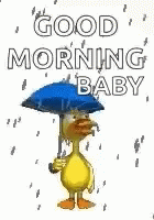 Happy Rainy Monday Baby Duck GIF
