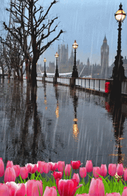 Happy Rainy Sunday Pink Tulips GIF