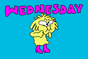 Happy Rainy Wednesday Fight GIF