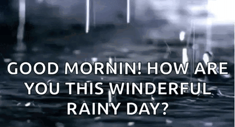 Happy Rainy Wednesday How Are You GIF
