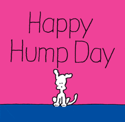 Happy Rainy Wednesday Hump Day GIF