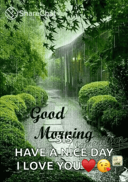 Happy Rainy Wednesday I Love You GIF