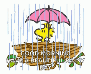 Happy Rainy Wednesday In The Nest GIF