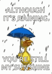 Happy Rainy Wednesday Shower GIF