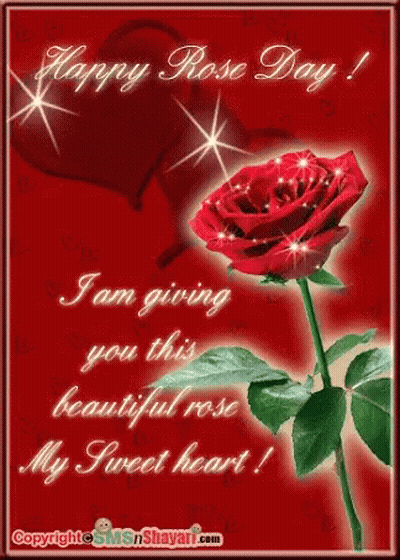 Happy Rose Day Card With Red Rose GIF
