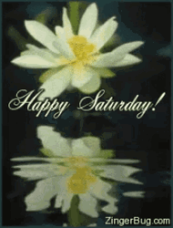 Happy Sabbath Flower Background GIF