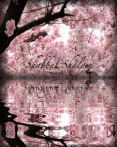 Happy Sabbath Sakura Bloom GIF