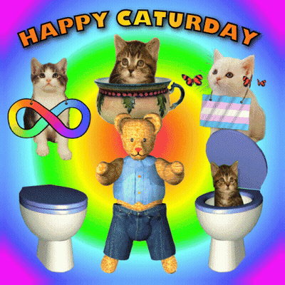 Happy Saturday Cats And Teddy Bear GIF