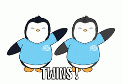 Happy Sister Day Penguin GIF