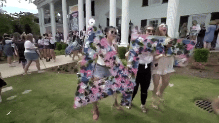 Happy Sisterhood Ole Miss GIF