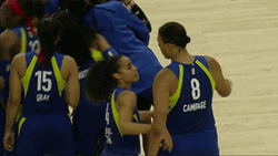 Happy Sisters Day WNBA Players GIF