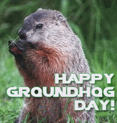 Happy Sparkling Groundhog Day GIF