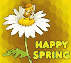 Happy Spring Bee Resting On Flower GIF