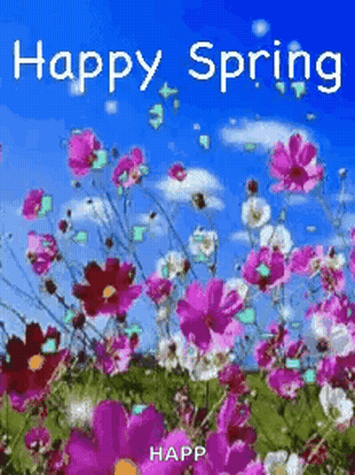 Happy Spring Card Pink White Flowers Blue Sky GIF