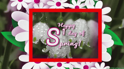 Happy Spring Greeting Card with Flowers