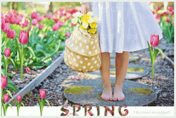 Happy Spring GIF