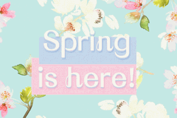 Happy Spring Pastel Flower Color GIF