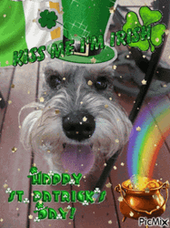 Happy St Patricks Day Birthday GIF