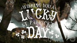 Happy St Patricks Day Luck Wishes GIF