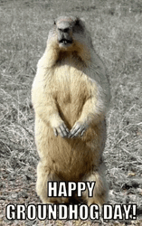 Happy Standing Groundhog Day GIF