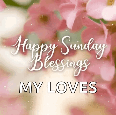 Happy Sunday Blessings Pink Flowers GIF