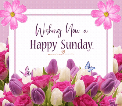 Happy Sunday Card With Flowers And Butterflies GIF