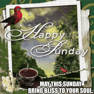 Happy Sunday Coffee And Bird GIF