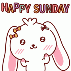 Happy Sunday Cute Bunny