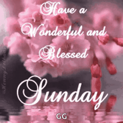 Happy Sunday GIF